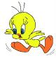 tweety02.jpg