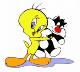 tweety03.jpg