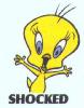 tweety15.jpg