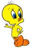 tweety24.jpg