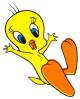 tweety27.jpg