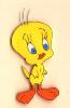 tweety28.jpg