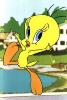 tweety29.jpg