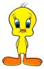 tweety33.jpg