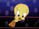 tweety45.jpg