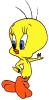 tweety48.jpg