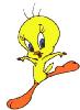 tweety49.jpg