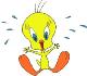 tweety55.jpg